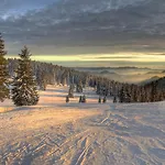 Silver Hills & With Free Parking Hotel