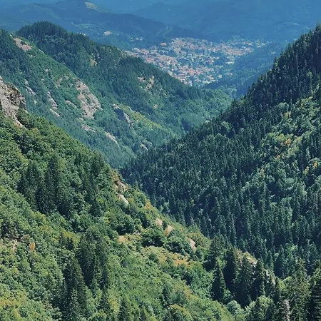 Silver Hills & With Free Parking Smolyan