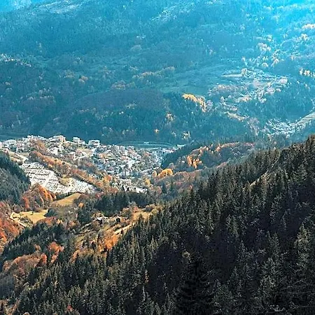 Хотел Silver Hills & With Free Parking 3*