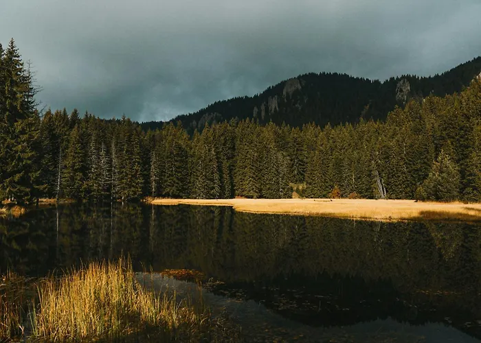 Silver Hills & With Free Parking